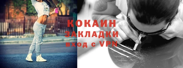 дживик Арсеньев