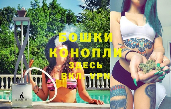 дживик Арсеньев