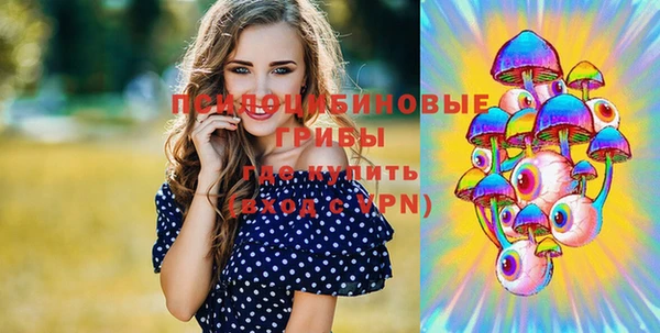 дживик Арсеньев