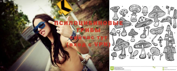 дживик Арсеньев