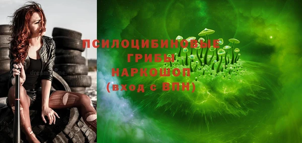 дживик Арсеньев